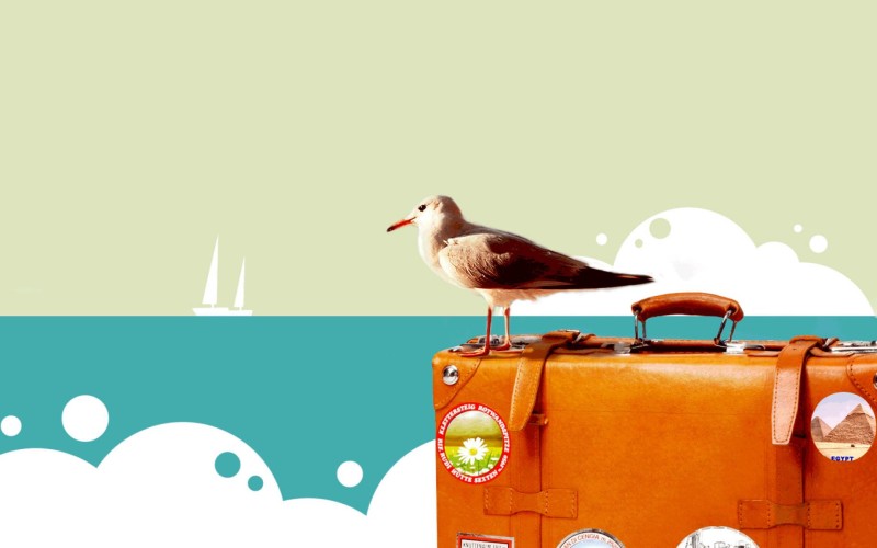 happy-travel-bird-wallpaper